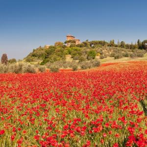 Tuscany